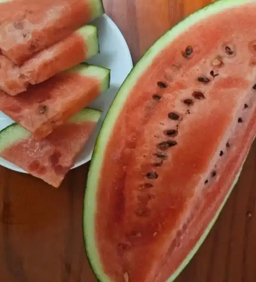넘덥네용