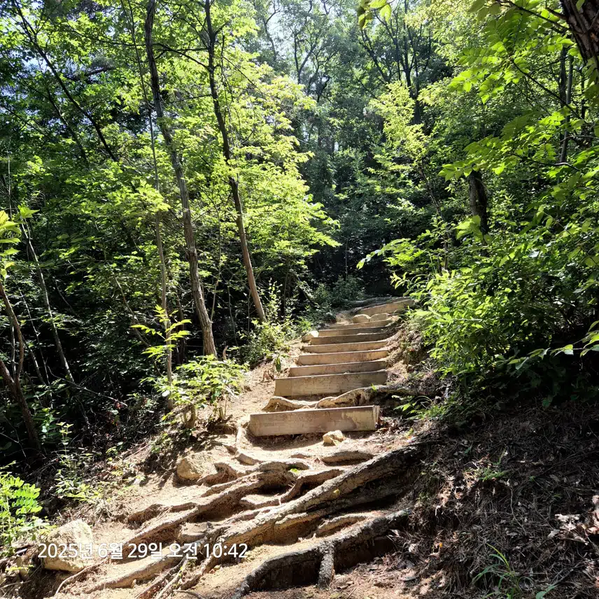 일요일 산행길~