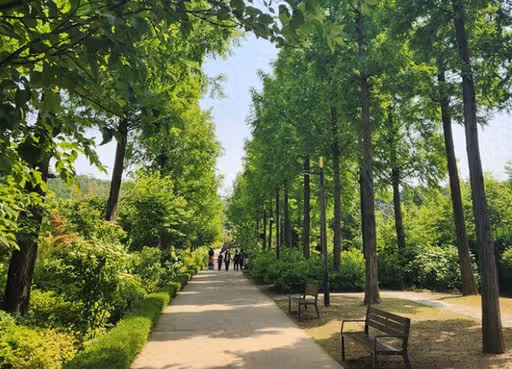 푸른 수목원이라고 아시나요.