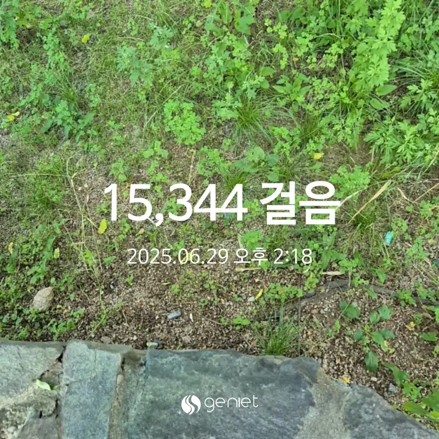 일요일 만보걷기!