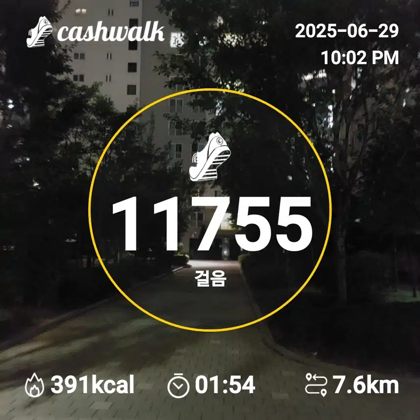 인증