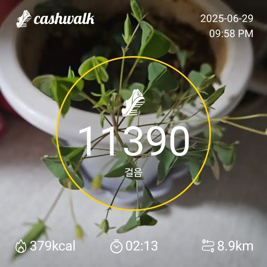 인증