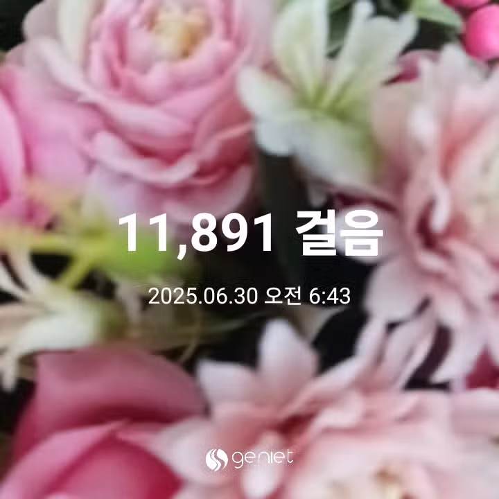 오전 운동 