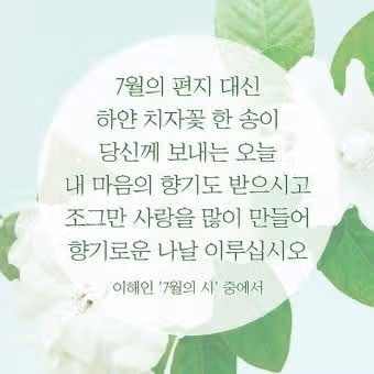 행복이 넘치는 하루 되세요.