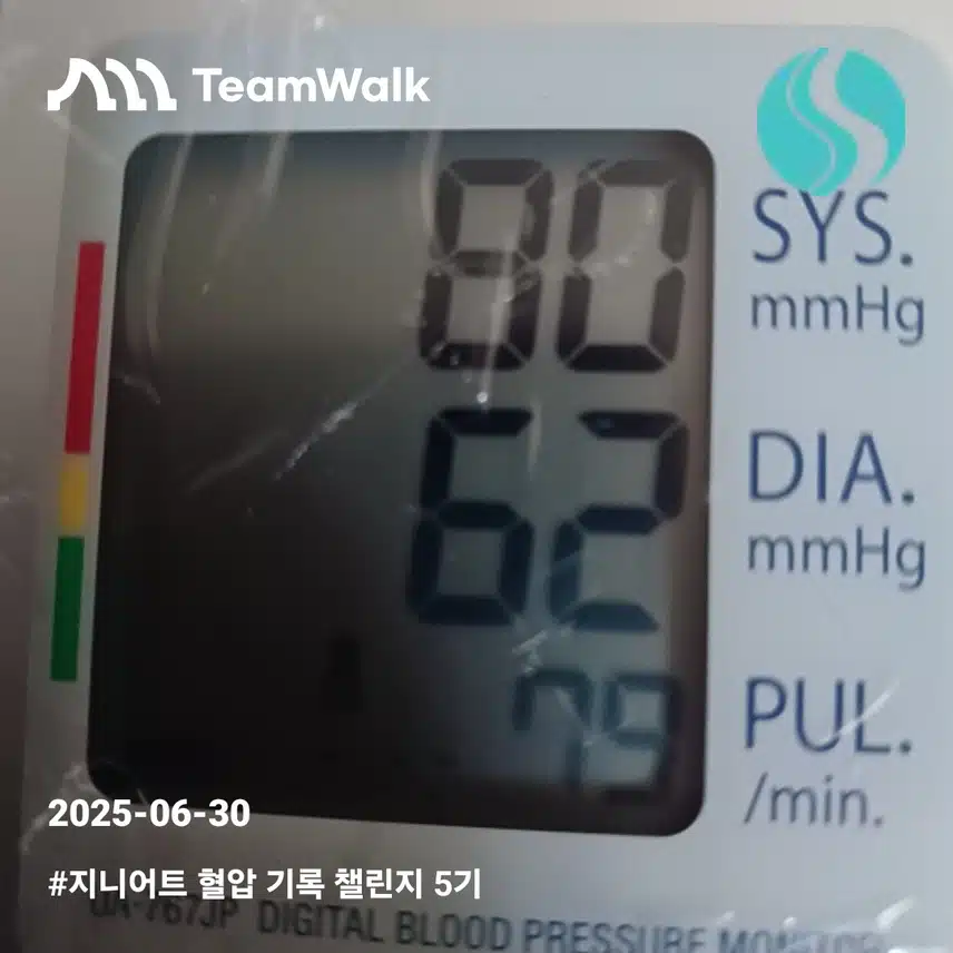 혈압8일차인증