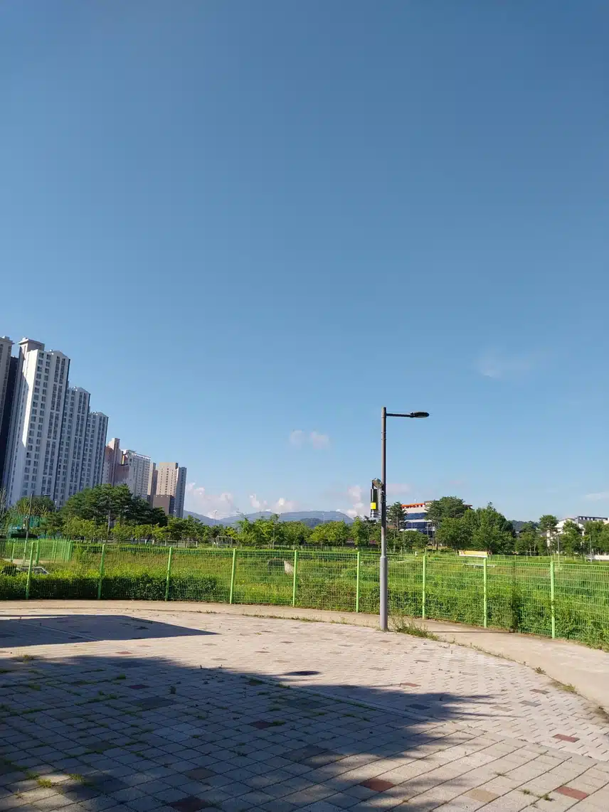 날이 완전 여름이네요