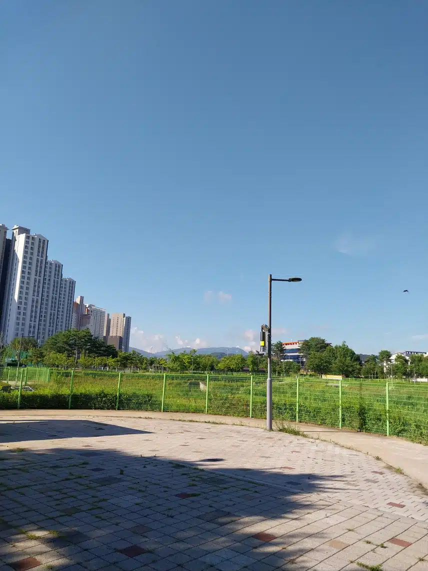 날이 완전 여름이네요