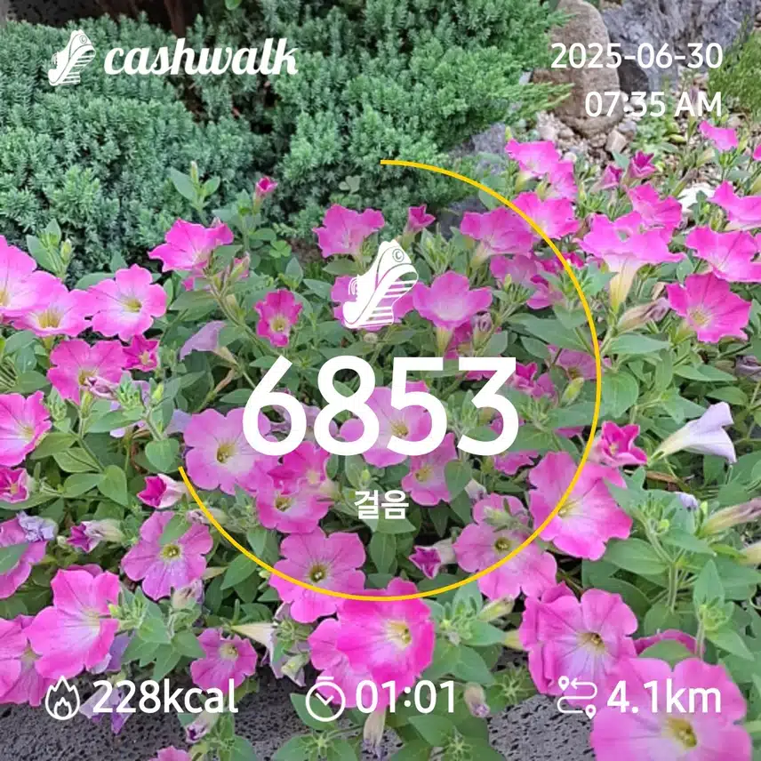 6000보 걷기