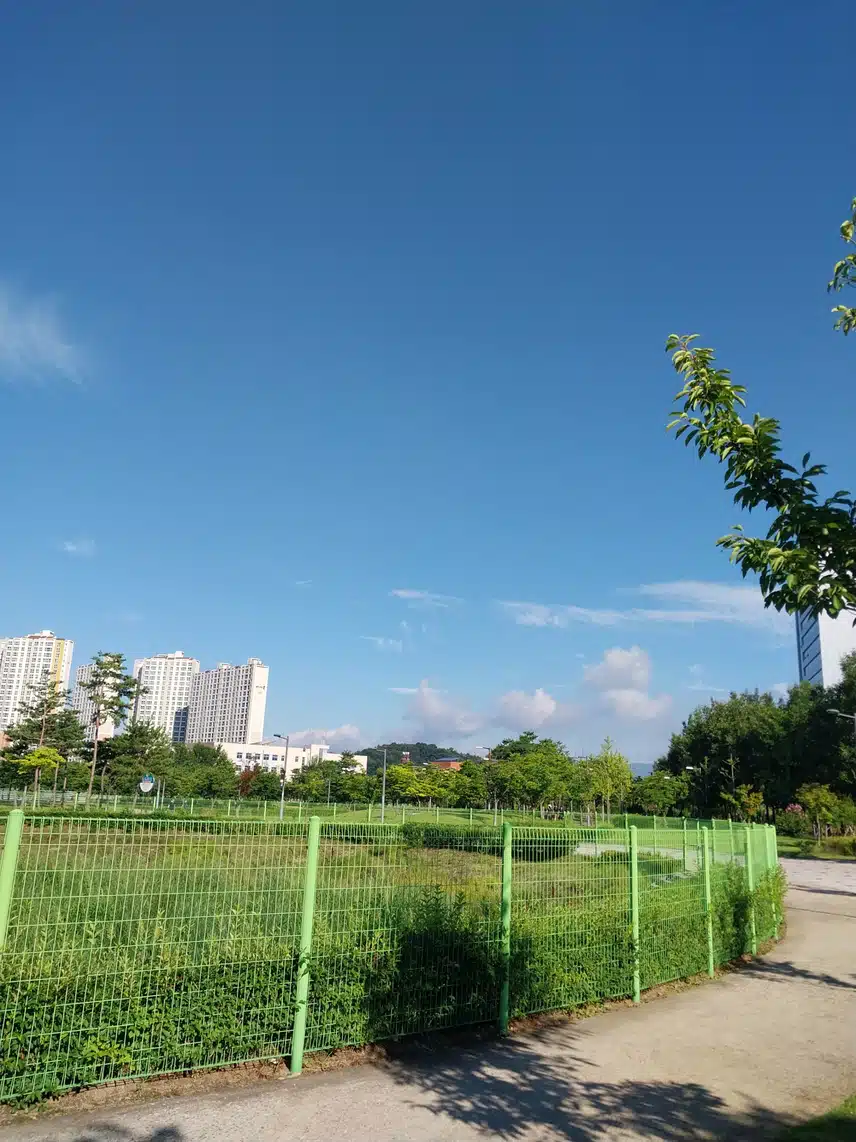 날이 완전 여름이네요