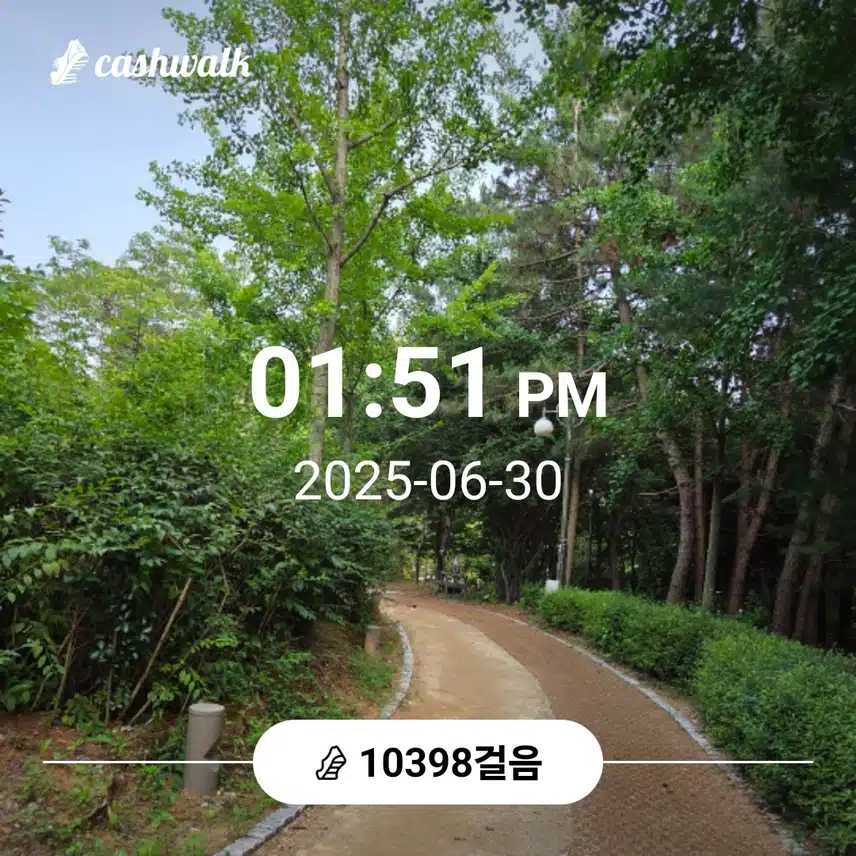 만보걷기운동 