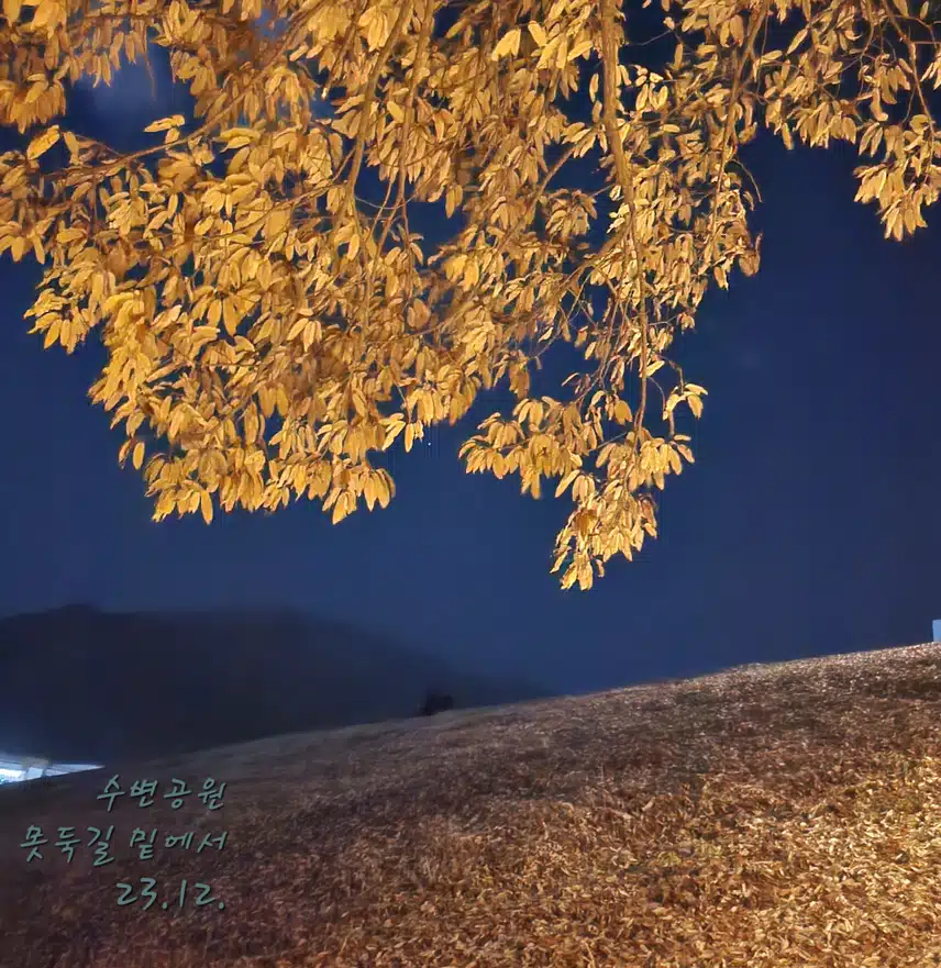 정말 정말 덥네요!!!!