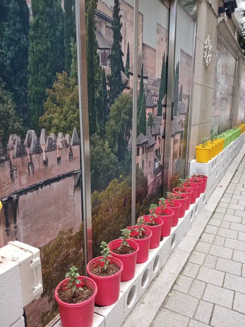 골목길 화원 