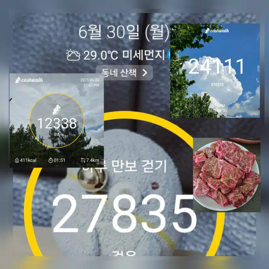 🤪호떡이 살아 있음땅~ 만보걷기 완료 ~😜
