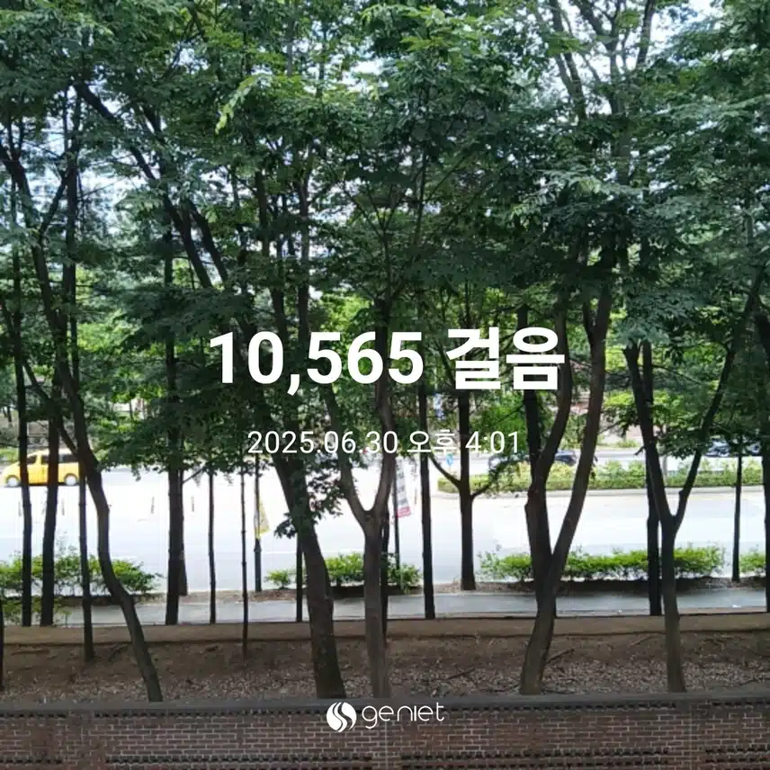 월요일 걷기운동^^