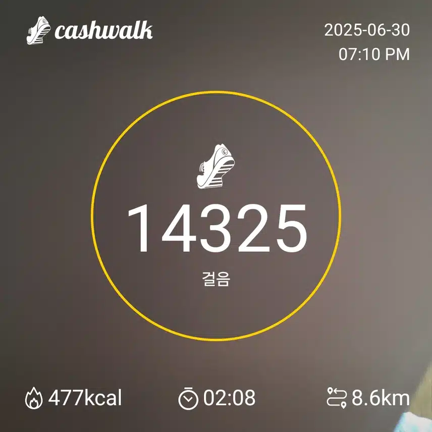 인증