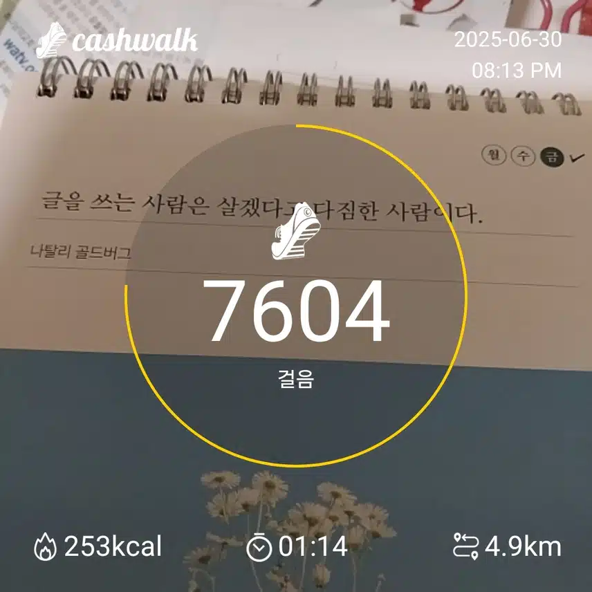 하루 6천보 걷기 챌린지 인증