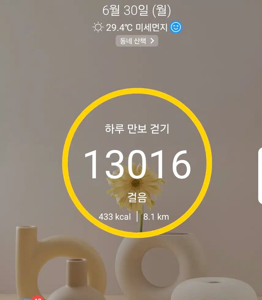 1만보 걷기 운동
