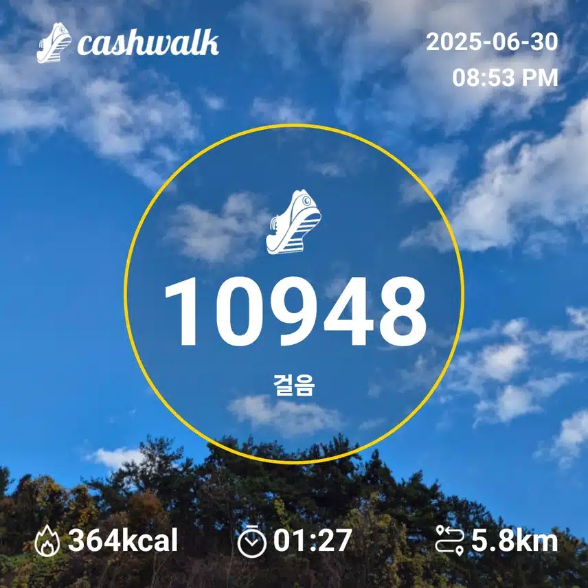 만보인증