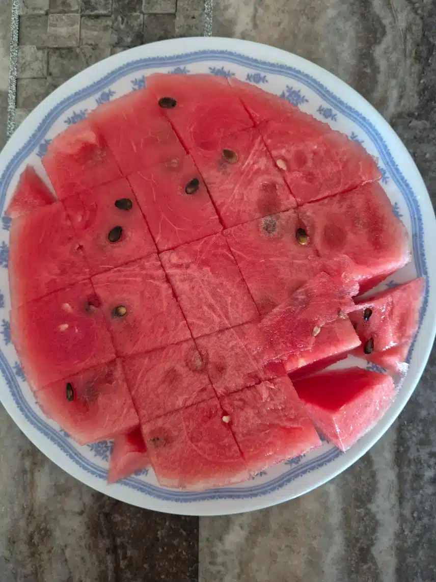 수박