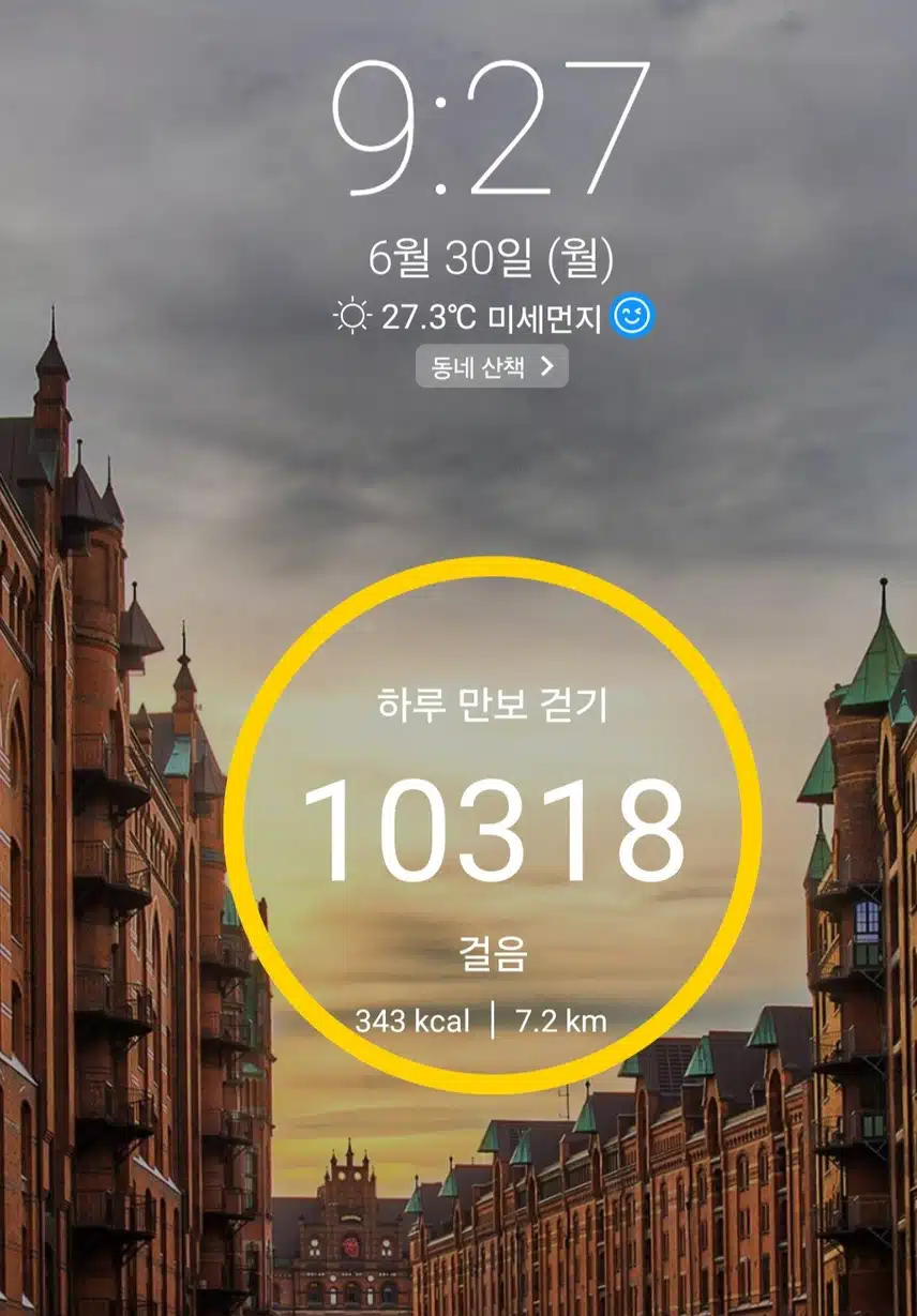 만보걷기 성공 