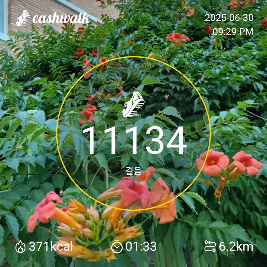 걷기 인증샷236일차