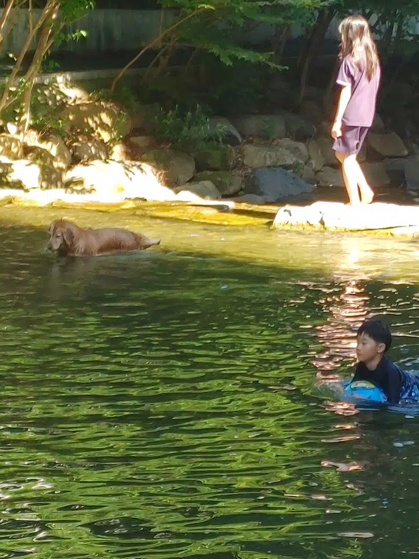 폭염에....