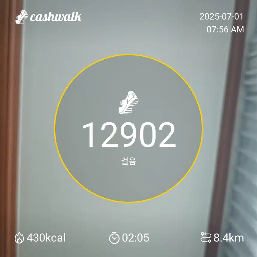 인증