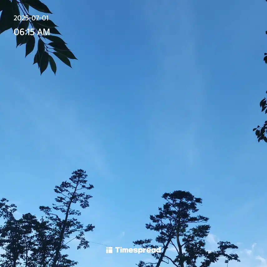 엄청 파랗네요