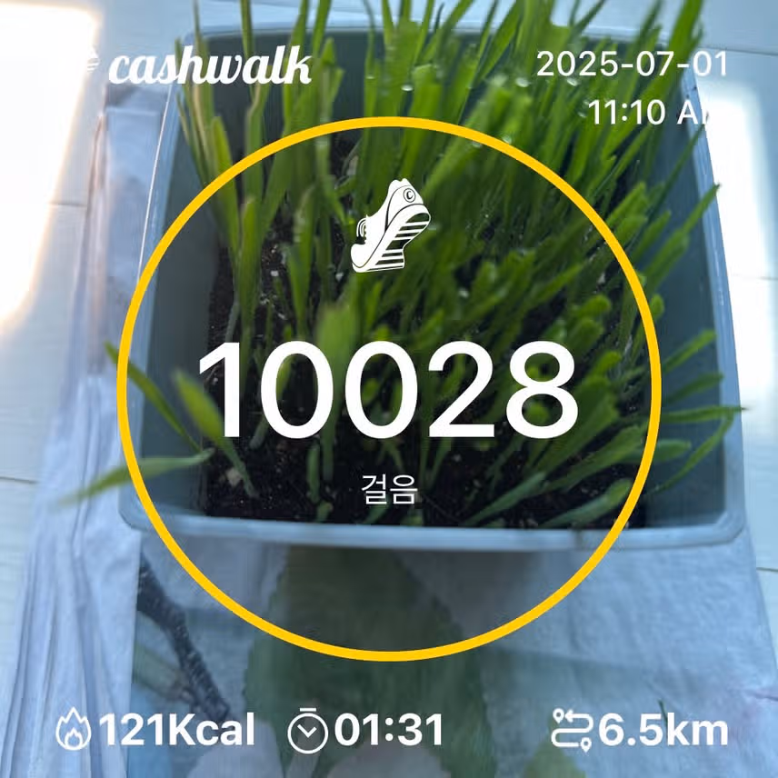 인증
