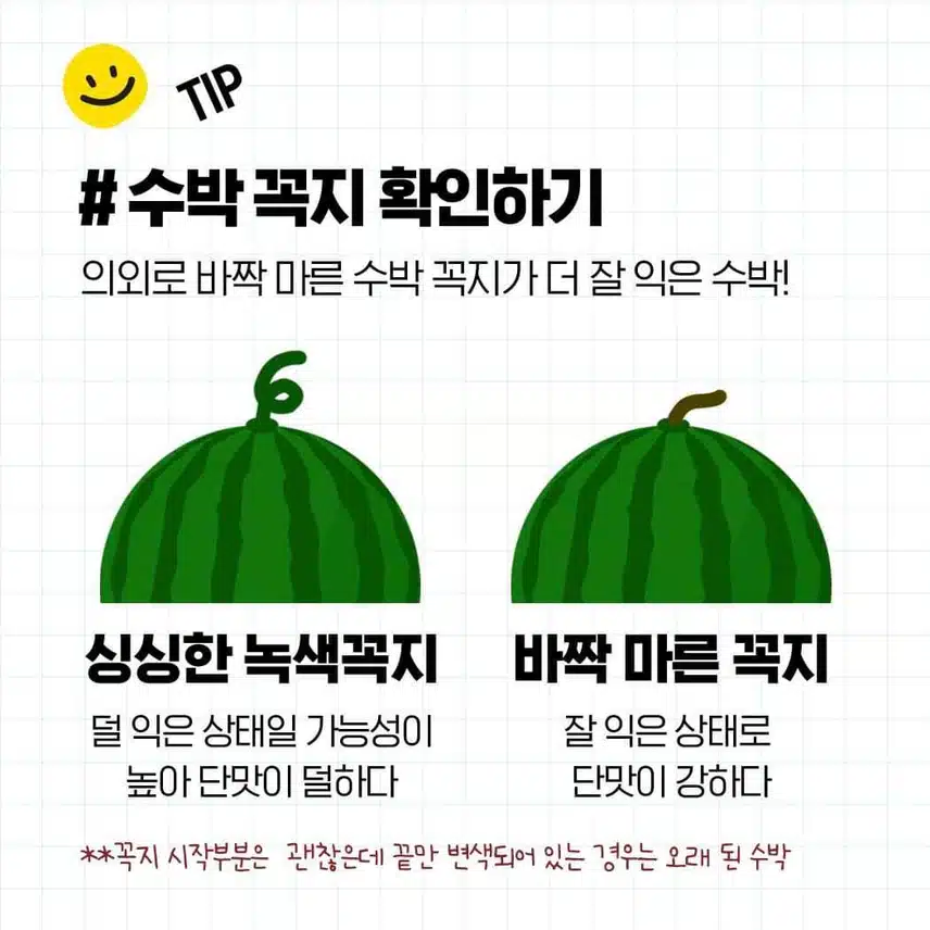 꿀수박 고르는 법과 보관 방법