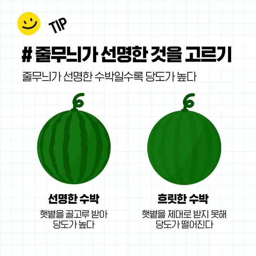 꿀수박 고르는 법과 보관 방법