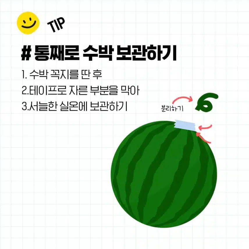 꿀수박 고르는 법과 보관 방법