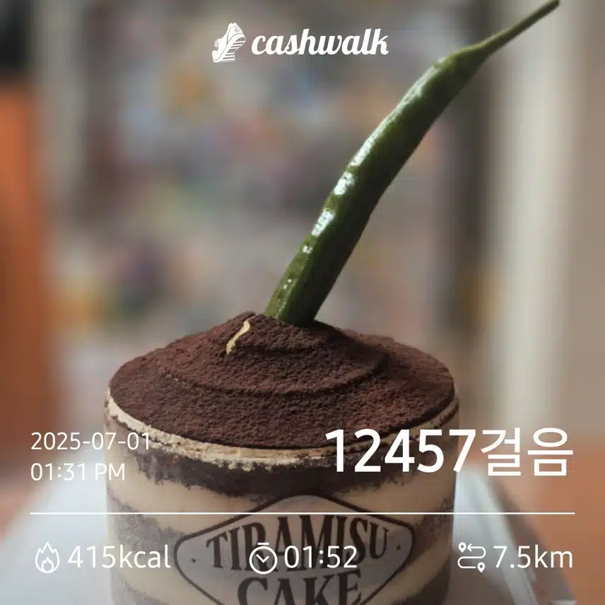 만보걷기 1.70일차 인증