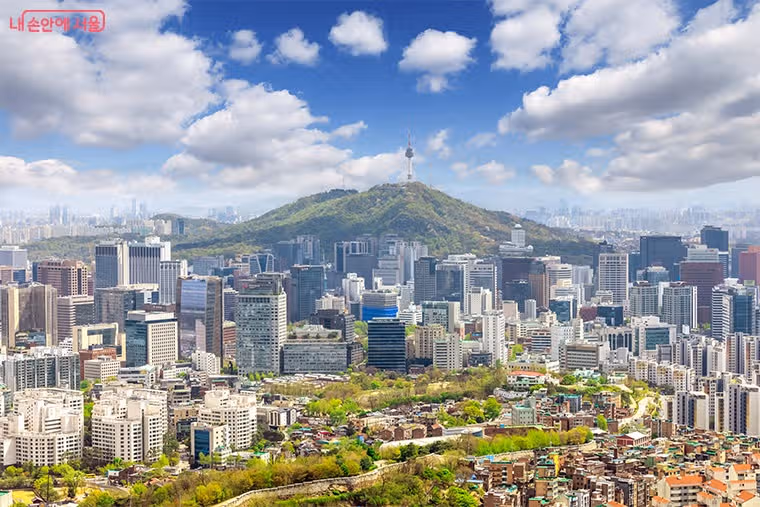 알아두면 꿀이득! 2025 하반기 달라지는 서울 생활