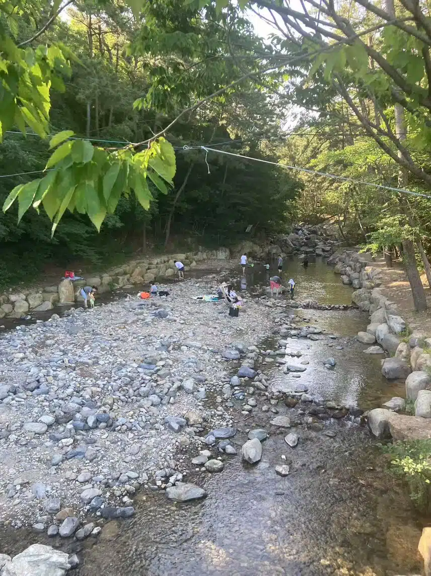 지금 계곡에는