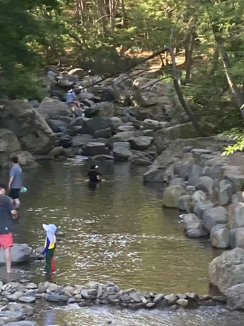 지금 계곡에는