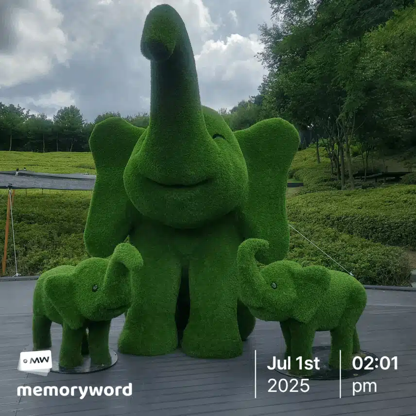 코끼리