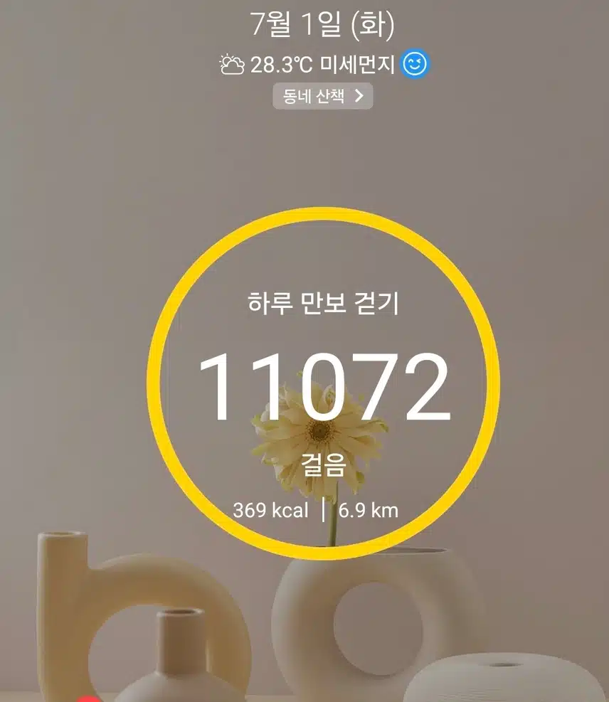 1만보 걷기 운동