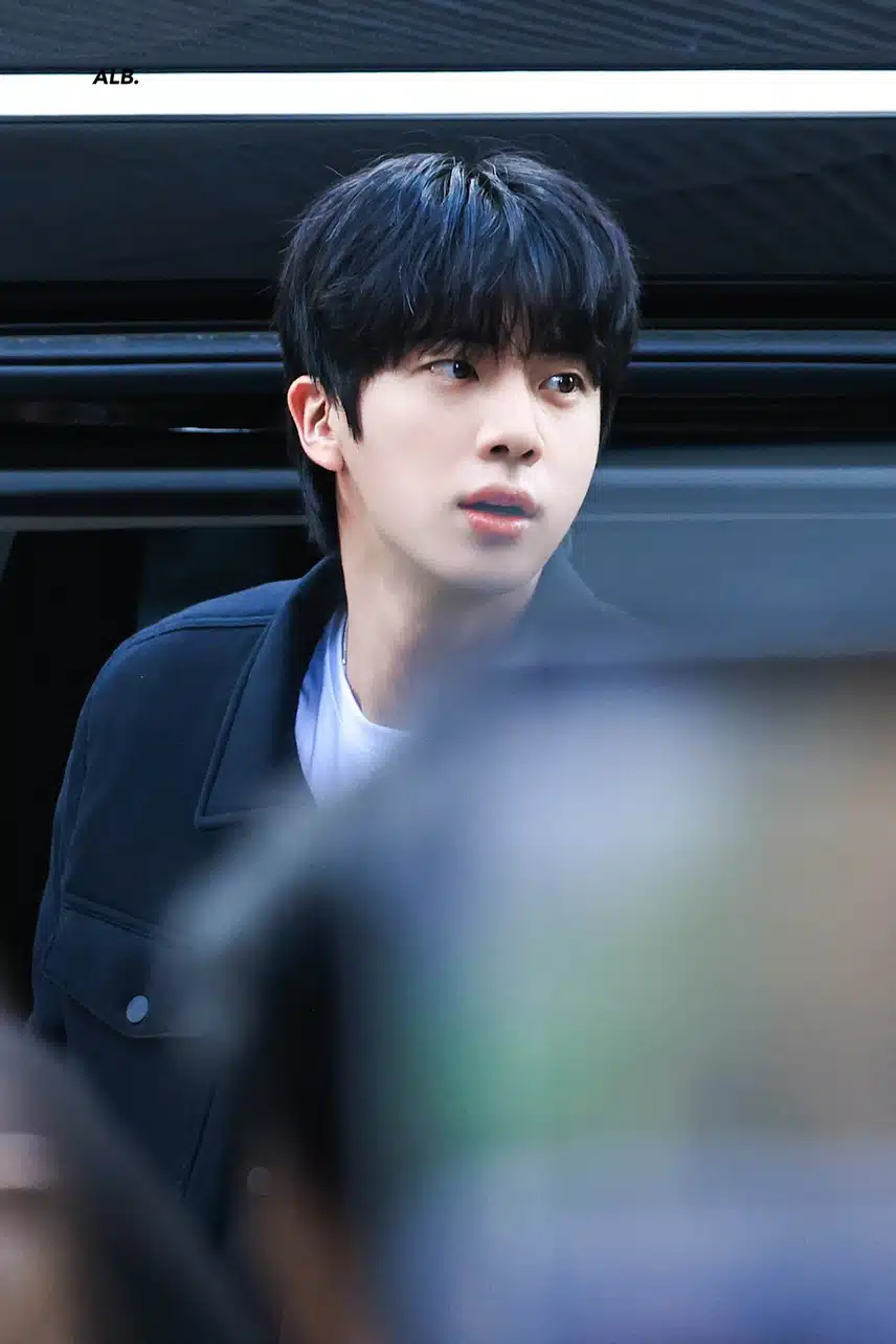 알로 도산플래그십에 등장한 청순미남 방탄 진 