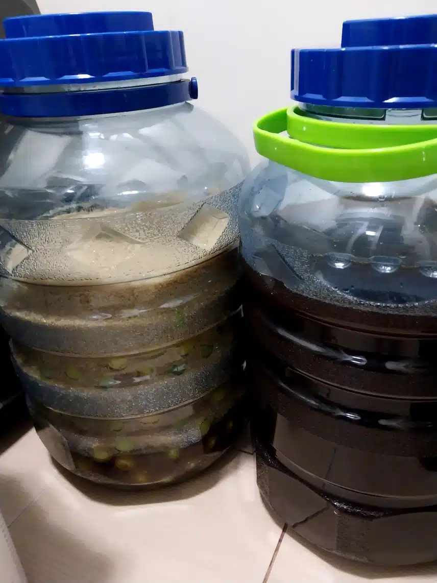 I made plum extract 매실청을 만들었어요.