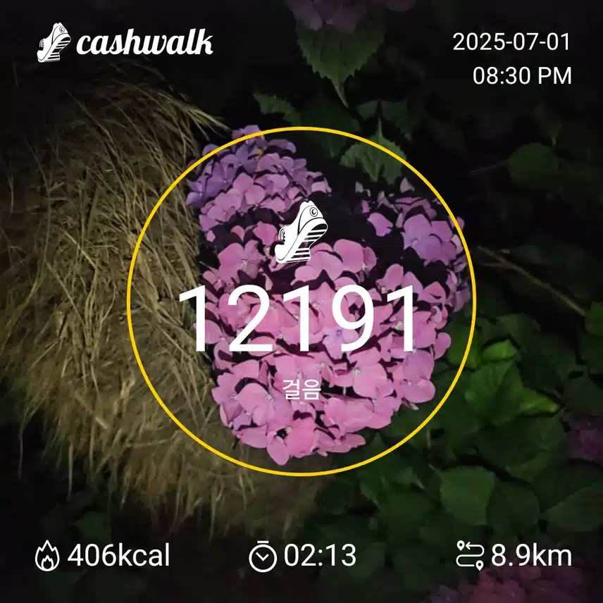 인증 