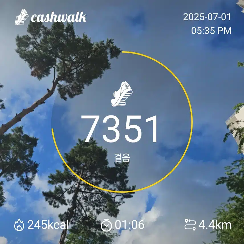 42기6일