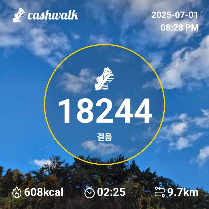 만보인증