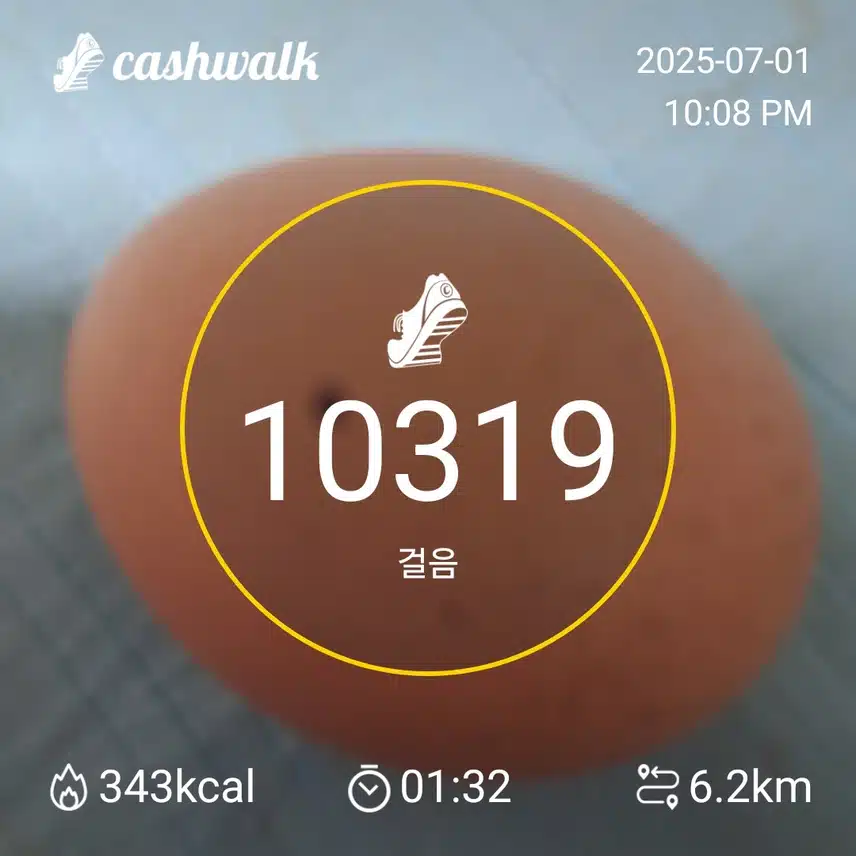 하루