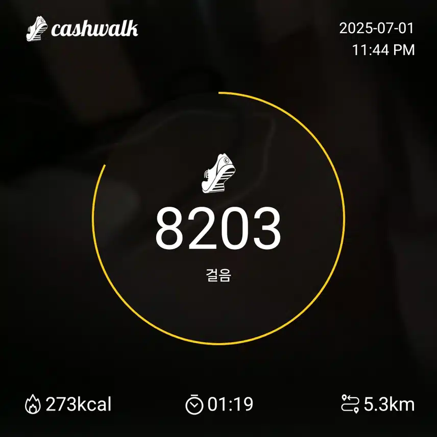 7월1일.화요일.걷기인증.