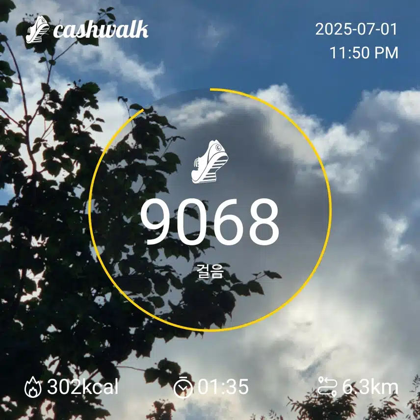 인증