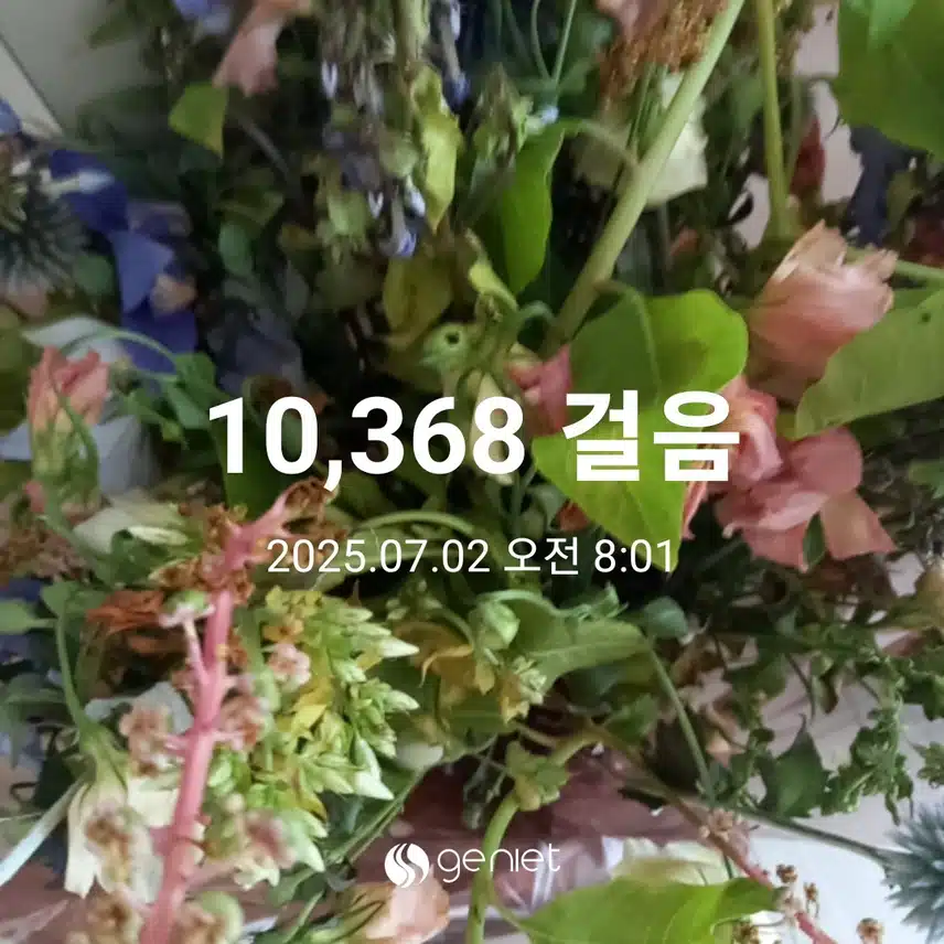 오전 걷기