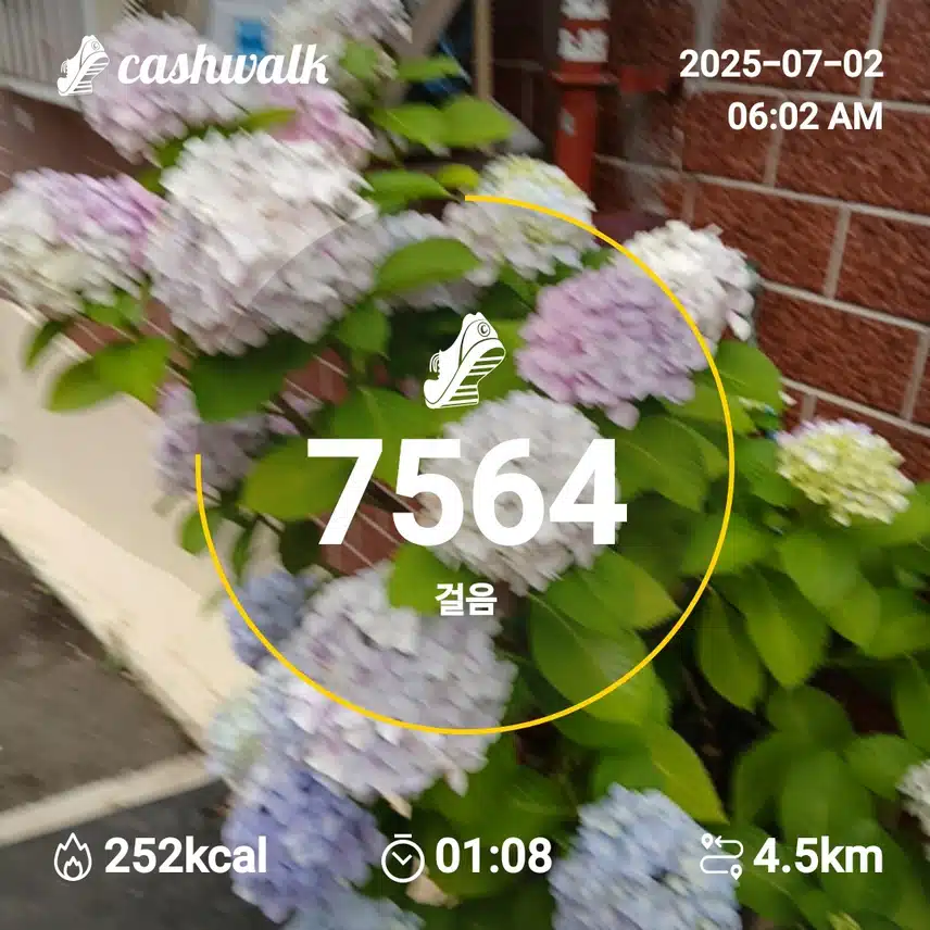 행복