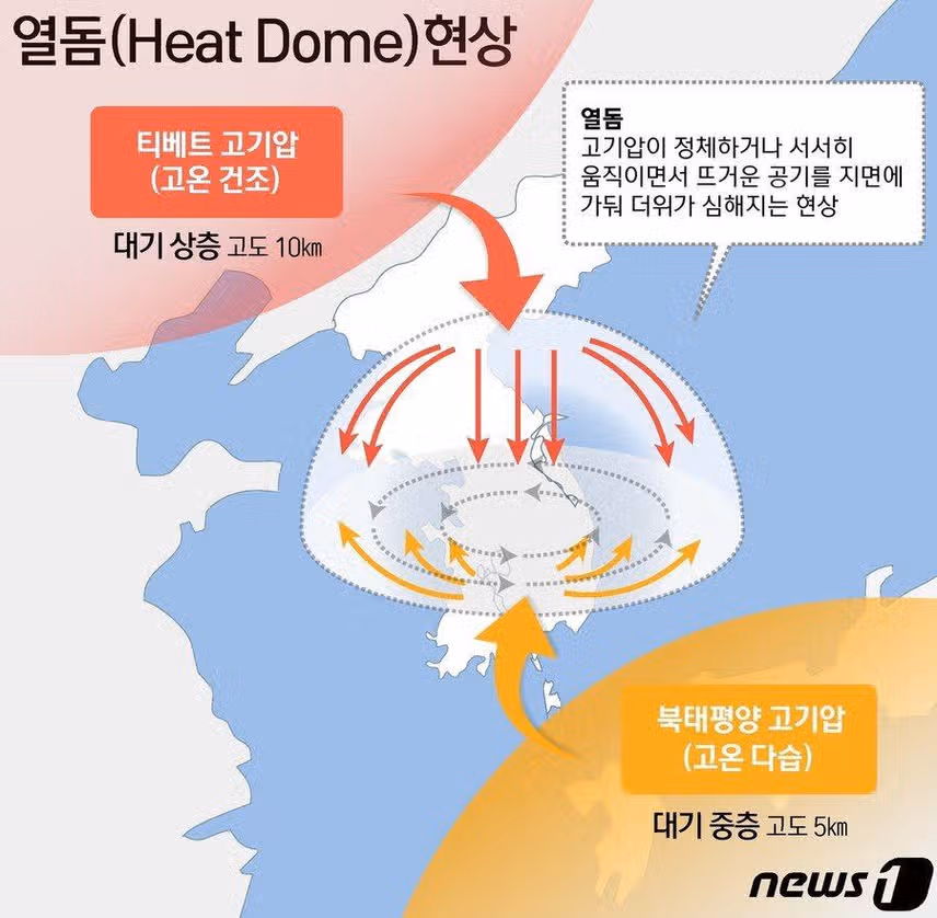 현재 한반도 기후 상황