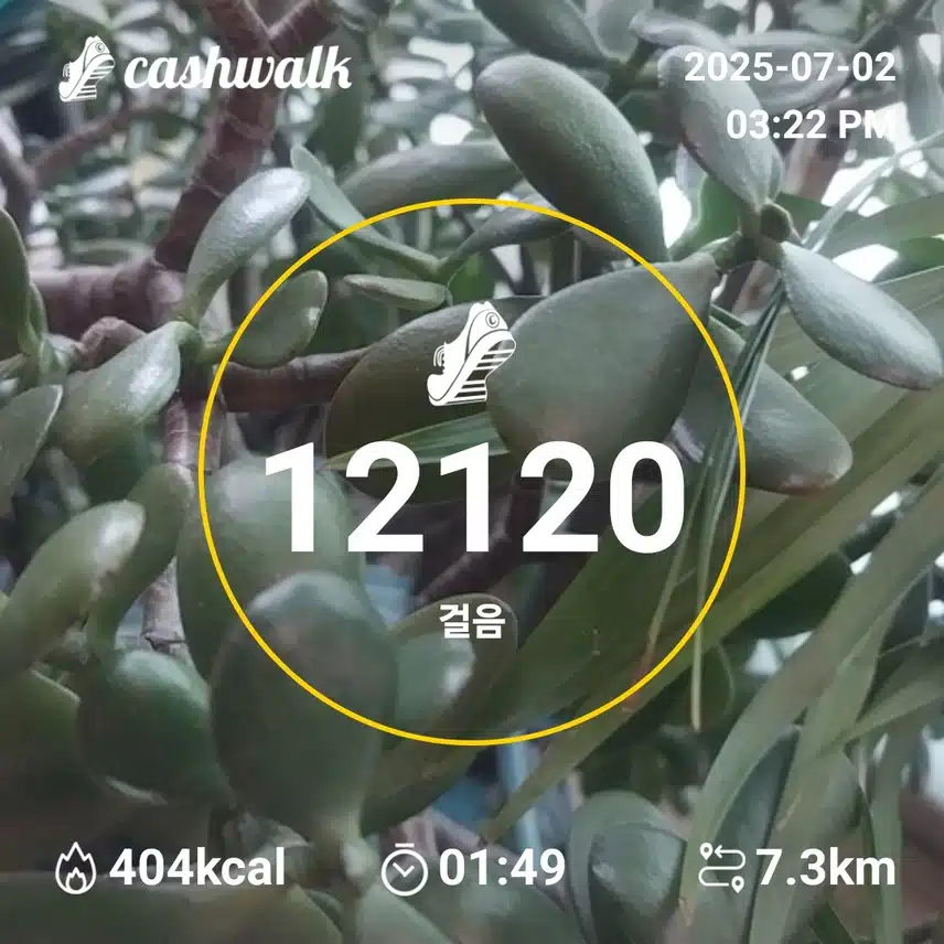 인증